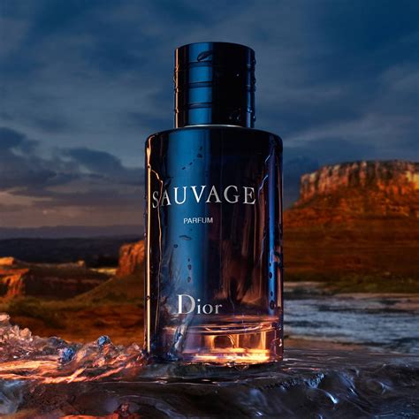 meilleur prix eau sauvage dior|Dior Sauvage parfum 100ml price.